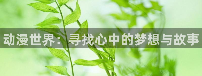 风车动漫(p