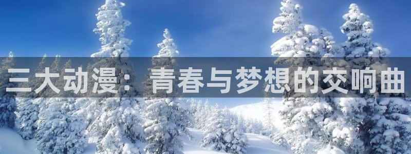 风车动漫官网在线播放