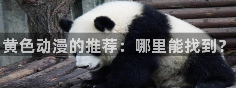 风车动漫网里番