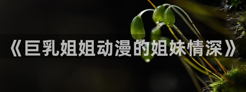 风车动漫观看网