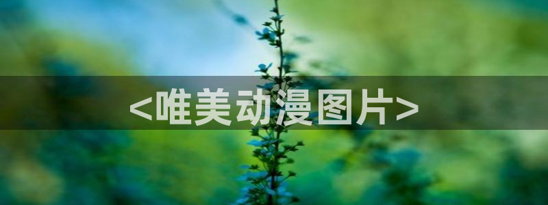 风车动漫手机动漫：<唯美动漫图片>