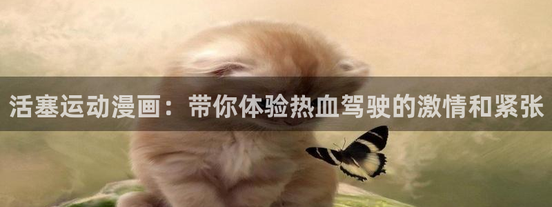 正在播放风车动漫：活塞运动漫画：带你体验热血驾驶的激情和紧张