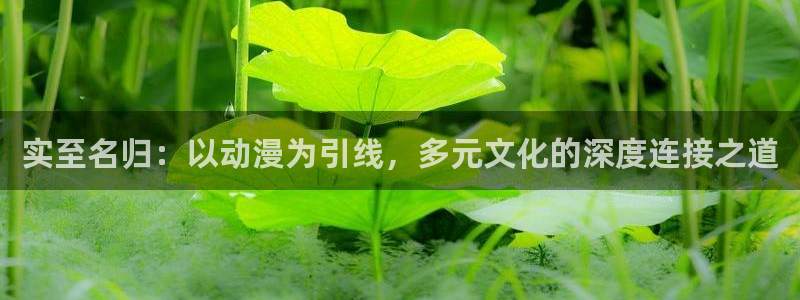 风车风车动漫：实至名归：以动漫为引线，多元文化的深度连接之道
